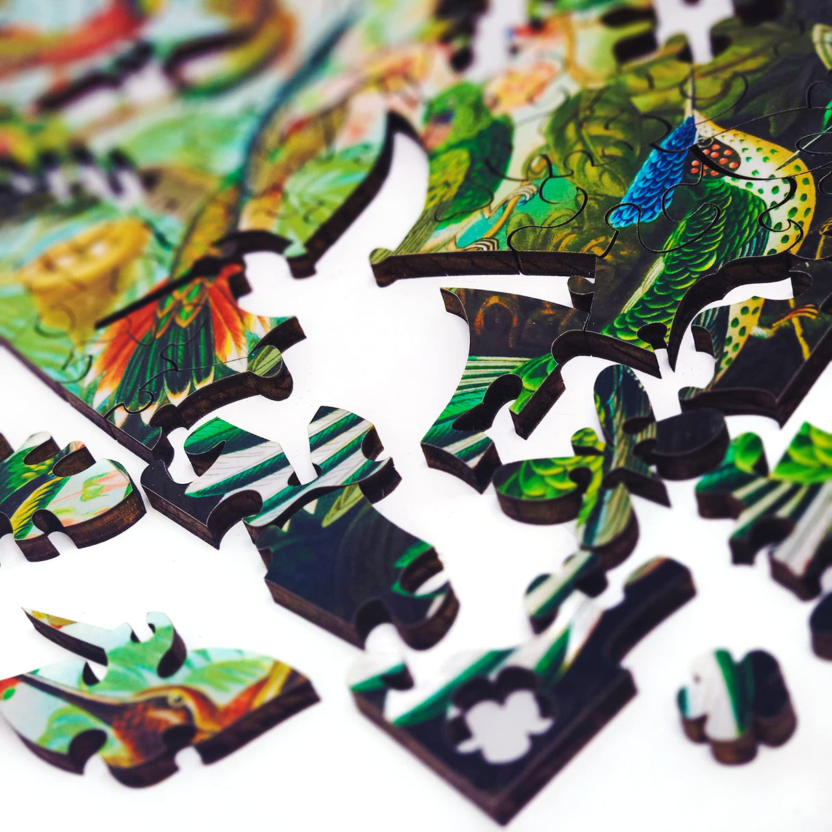 Wooden Jigsaw Puzzle for Adults - Uniquely Shaped Pieces - Made in The USA by FoxSmartBox - 145 Pieces - Hummingbirds FoxSmartBox