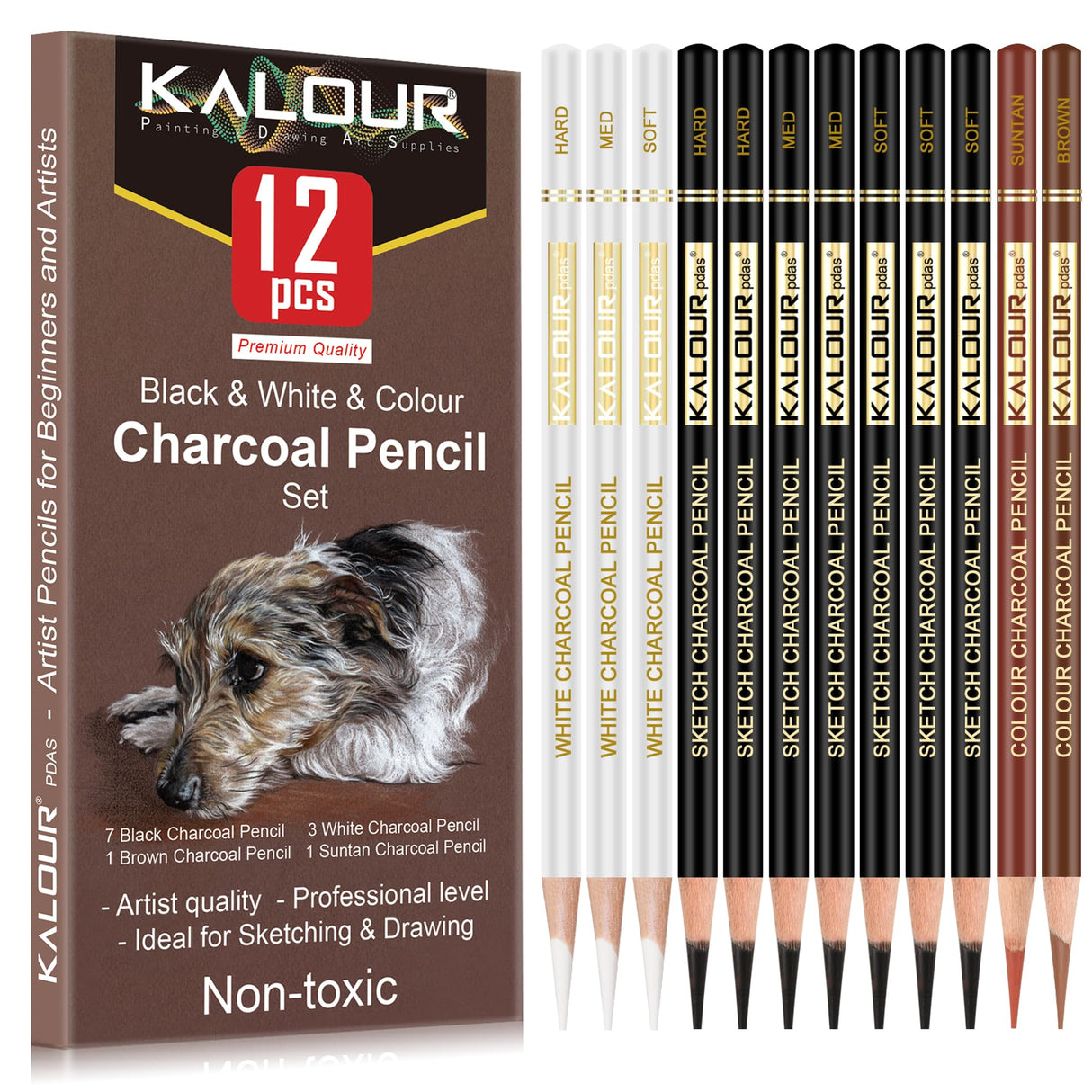 KALOUR Pro Colored Charcoal Drawing Set,12 Pieces Pastel Chalk Pencils for Sketching, Shading, Blending, Portrait, Black White Charcoal for Beginners & Artists KALOUR