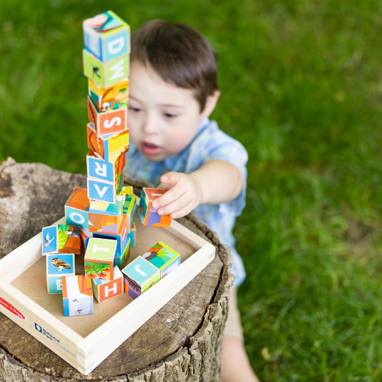 Melissa & Doug National Parks Alphabet & Animals 24-Piece Cube Puzzle (Everglades, Arches, Yellowstone) - FSC Certified Melissa & Doug