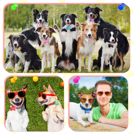 100 Pcs Blank Dog Pet Tags for Engraving 38MM Aluminum Bone Shape Name Tag Colorful Double Sided Dog Cat Phone Number Tag Pendants Roowest