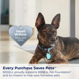 BISSELL Little Green Multi-Purpose Portable Carpet and Upholstery Cleaner, Car and Auto Detailer, with Exclusive Specialty Tools, Green, 1400B Bissell