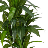 Nearly Natural 48" Dracaena Silk Plant (Real Touch) Green Nearly Natural
