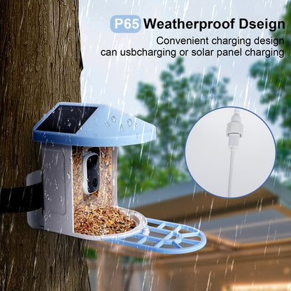 Smart Bird Feeder with Camera,Bird House Camera with AI Identify Bird Species,1080P HD Bird Watching Camera Auto Capture Bird Videos & Solar