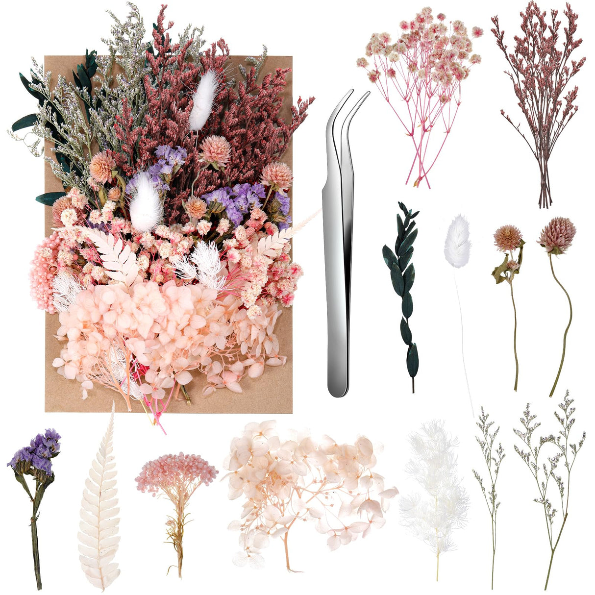 Real Dried Flowers, Natural Dry Flowers Mixed Natural Pressed Flowers Flores Secas Dried Florals for Crafts,Resin,Candle Making (Multicolor 2) auroray