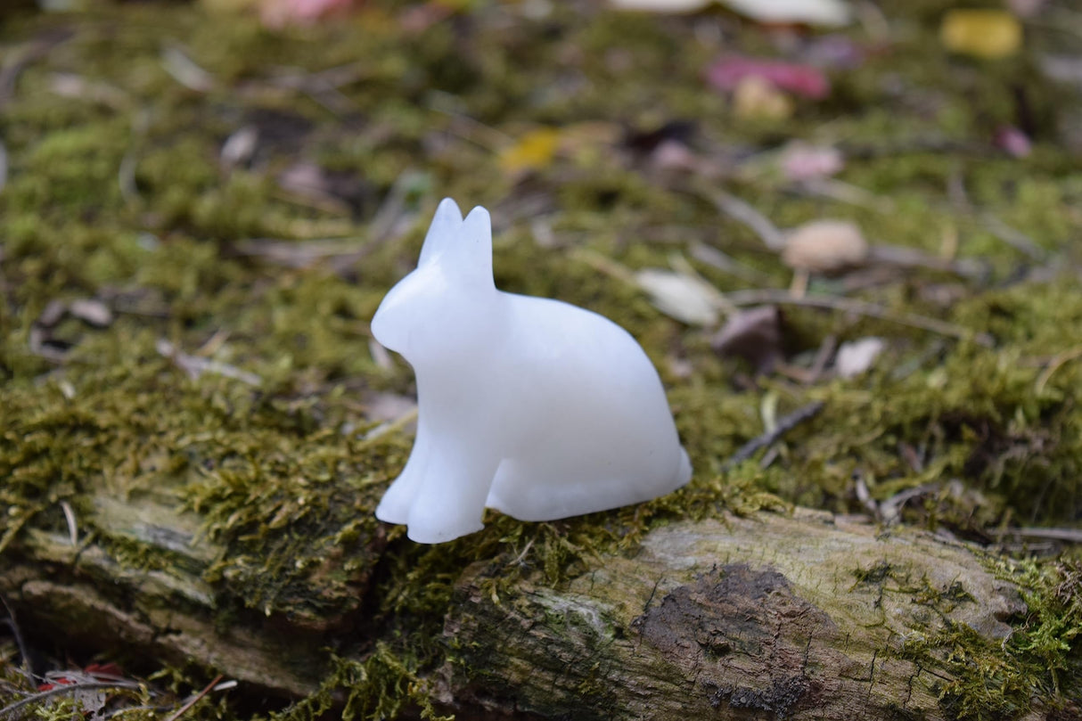 STUDIOSTONE CREATIVE DIY Arts & Crafts Carving Kit Kids Adults Artic Hare Alabaster Sculpture Soapstone STUDIOSTONE CREATIVE