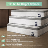 SLEEP100 Full Mattress 10 Inch, 5-Zone Deep Sleep Firm Mattress with Extra Lumbar & Shoulder Support, Hotel Collection Hybrid Double Mattresses Pain Relief - Fiberglass Free & No Odor-365 Night Trial SLEEP100