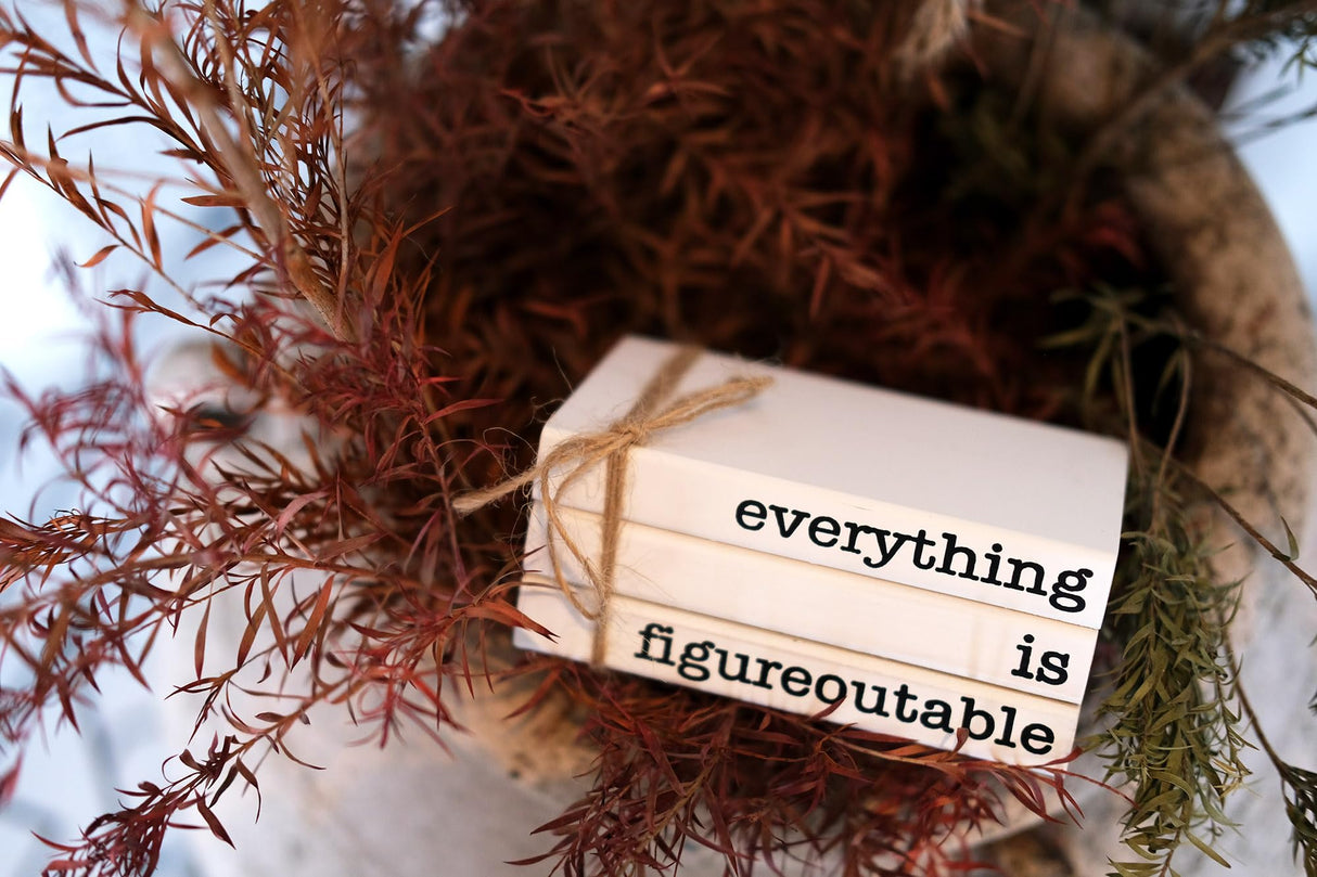 RUKEJUNE Farmhouse Motivational Wooden Office Desk Decor, Cute Decorative Books for Shelf Decoration, Inspirational Gifts for Women Men - Everything is Figureoutable Sign RUKEJUNE