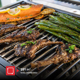 Nexgrill Stainless Steel 2-Burner Portable Gas Grill with Locking Lid, Folding Legs, 20,000 BTUs, 251 SQ In Cooking Space, Tabletop Grill for Camping, Outdoor Cooking, Patios, and More - 820-0007GE Nexgrill