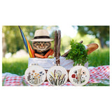 3 Sets of Beginner Embroidery Kits with 3 Patterns and 6 Needles, Needlepoint Kits for Adults,Including Embroidery Floss,3 Plastic Hoops and 3 Cotton Fabric keke