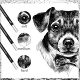 Geyoga 180 Pcs Professional Charcoal Pencils Drawing Set Soft Medium and Hard Charcoal Sketch Drawing Pencils for Beginners Artists Shading Sketching Geyoga