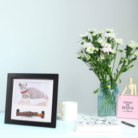 KCRasan Pet Picture Frame - Memorial Frame for Loss of Dog or Cat - Pet Collar Frame Remembrance Sympathy Keepsake KCRasan