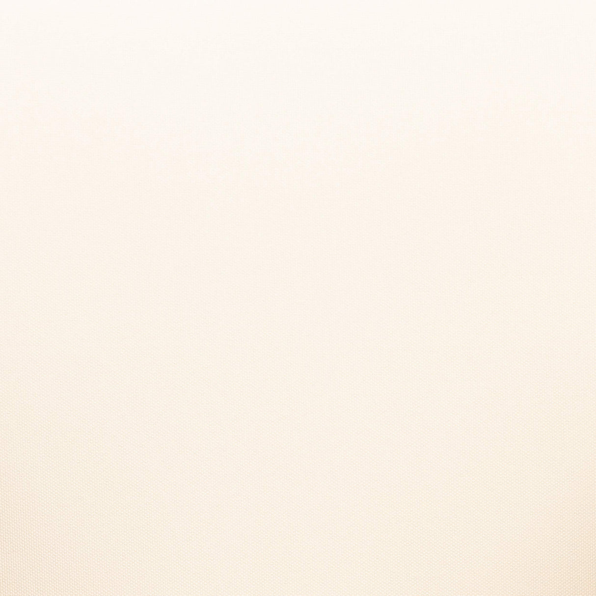 Christopher Knight Home Louver Club Chairs, Teak + Cream Christopher Knight Home