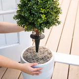Nearly Natural 2.5ft. UV Resistant Artificial Boxwood Plant with Integrated Ground Stake (Indoor/Outdoor) - Set of 2 Nearly Natural
