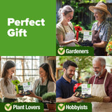 HOME GROWN Bonsai Tree Kit – 6 Heirloom Varieties with Unique Pots – DIY Bonsai Starter Kit for Adults & Beginners – Christmas Gift for Men Women Gardeners Plant Lovers – Indoor Growing Kit HOME GROWN