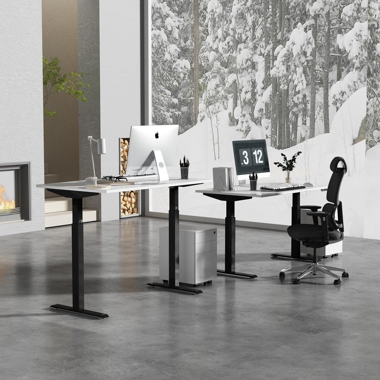 ALFA BUSINESS Dual Motor Standing Desk 60x30 Inches, Electric Adjustable Height Desk for Home Office, Sit and Stand Computer Desk with Memory Presets ALFA BUSINESS