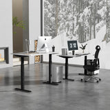 ALFA BUSINESS Dual Motor Standing Desk 60x30 Inches, Electric Adjustable Height Desk for Home Office, Sit and Stand Computer Desk with Memory Presets ALFA BUSINESS