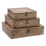 Hipiwe Flat Wicker Basket Bins with Lid - Set of 3 Handwoven Seagrass Storage Basket Shelf Baskets Boxes Multipurpose Home Organizer Bins Boxes for Shelf Pantry Closet,Large Size 14.8"x13" Coffee Hipiwe