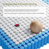 PECHINOU Queen Mattress, 12 Inch Mattress Queen Size, Hybrid Matress in a Box, Memory Foam & Medium Firm Support, Oeko-TEX & CertiPUR-US Certified, Pressure Relief, Cool & Breathable PECHINOU