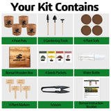 4 Bonsai Tree Seeds with Complete Growing Kit & Wooden Planter Box, Indoor Bonsai Tree Starter Kit, Great Potted Plants DIY Gift for Adults Meekear