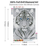 RICUVED Diamond Art Kits for Adults, White Tiger Diamond Art Full 5D Diamond Art Kits Tiger Rhinestone Picture Art Craft for Home Wall Decor 11.8x15.7 Inch RICUVED