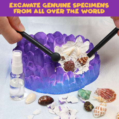PIBEX Ocean Fossil Dig Kit, Dig up 20+ Real Shells & Seasnails, STEM Educational Activity Set Sea Creatures Excavation Toy for Kids, Marine Biology Geology Science Kit, Gift for Boys and Girls Age 6+ PIBEX