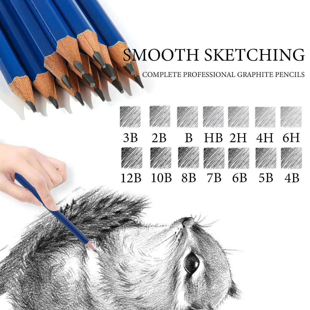 Daerthotk Pencils Drawing Sketching Set 14 pcs Graphite (12B - 6H) Kit Soft Pencils Ideal Gift for Drawing Art, Sketching, Shading, Artist Pencils for Beginners Pro Artists Daerthotk