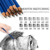 Daerthotk Pencils Drawing Sketching Set 14 pcs Graphite (12B - 6H) Kit Soft Pencils Ideal Gift for Drawing Art, Sketching, Shading, Artist Pencils for Beginners Pro Artists Daerthotk