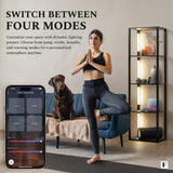 FENLO Fancy - LED Display Shelf with Dimmable Lights, LED Shelf Floor Lamps for Living Room, Sturdy Corner Shelf Curio Cabinet Display, Tall Floor Lamps with Shelves FENLO