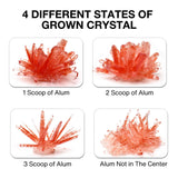 BenBen Crystal Growing Kit for Kids, Grow 6 Crystals with Light Up Display Stand, Educational STEM Toys for Girls and Boys, Science Kit for Kids Age 8-14, Birthday Gifts Science Experiments BenBen
