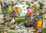 Ravensburger Our Feathered Friends 1000 Piece Jigsaw Puzzle for Adults | Unique, Pieces | Anti-Glare Surface | FSC Certified, Eco-Friendly | Amazon Exclusive Ravensburger