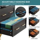 Tribesigns 2 Drawer File Cabinet, Modern Lateral Filing Cabinet for Letter/Legal/A4 Size, Large File Storage Cabinets Printer Stand with Storage for Home, Office, Black/Gold Tribesigns