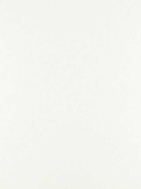 Pres-On Mounting Board, 9-Inch x 2-Inch Pres-On