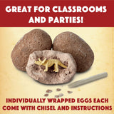 MindWare Dig It Up! Dinosaur Skeleton Eggs Excavation kit - Comes with 12 Clay Eggs, 12 Chisel Tools and 12 Instruction Sheets MindWare