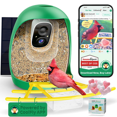 HIXX® Smart Bird Feeder with Camera, Birdwatching Camera with AI Identify Bird Species & Solar Panel, Auto Bird Video Capture & Instant Notifications, Bird Camera Feeder for Bird Lovers, Green