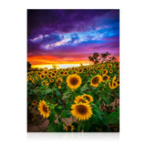 Modern Merch Sunflower Diamond Art Kits for Adults, Sunset Landscape 5D Diamond Painting for Adults, DIY Sunflower Wall Art Cross Stitch Kits, Full Round Drill 12x16in Modern Merch