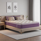 12 Inch Queen Mattress in a Box, Purple Hybrid Mattress with Gel Memory Foam and Pocket Springs for Motion Isolation, Pressure Relief & Cool Sleep, Medium Firm, CertiPUR-US Certified Nelaukoko