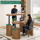 Xyulmeo Mid Century Modern Electric Standing Desk with Storage, 55 x 22 Inch Small Sit Stand Up Desk, Wood Adjustable Height Computer Executive Desk for Home Office, Laptop, Walnut Xyulmeo