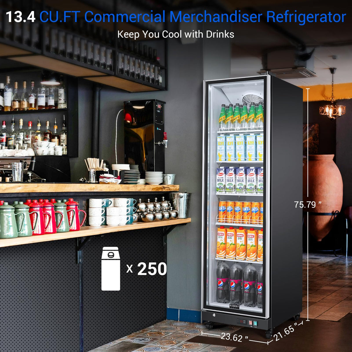 BODEGACOOLER Commercial Merchandiser Refrigerator,12.5 Cu.Ft Glass Door Display Refrigerator,Upright Commercial Beverage Display Cooler with Soft LED Light,Adjustable Shelves,Black BODEGA