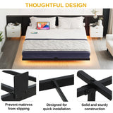 DWVO Queen Size Floating Bed Frame, LED Bed Frame with USB Port, Queen Metal Platform Bed with Heavy Duty Steel Slats, No Box Spring Needed, Easy Assembly, Black DWVO