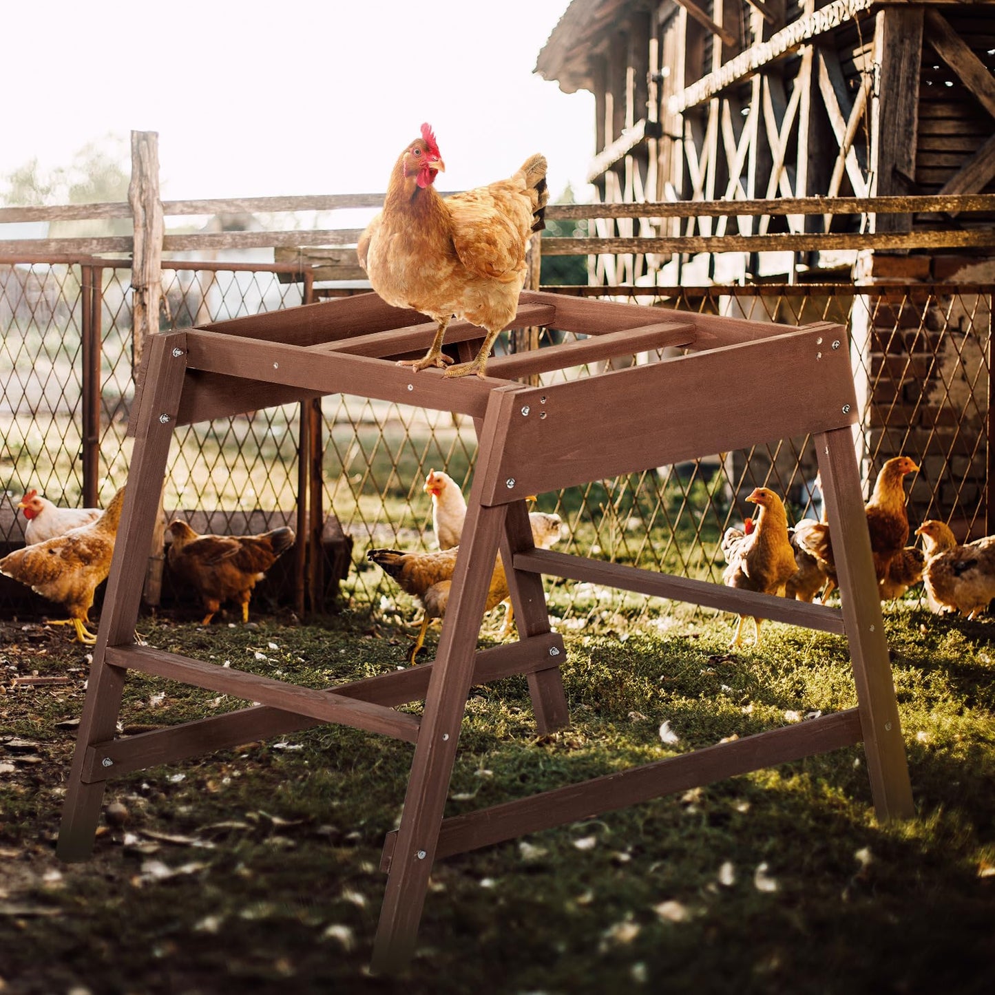 PETSFIT Chicken Coop Accessory with Multiple Chicken Perches Chicken Toys for Pet's Health & Happy, Chicken Roosting Bars Fit for 4-6 Chicks - WoodArtSupply