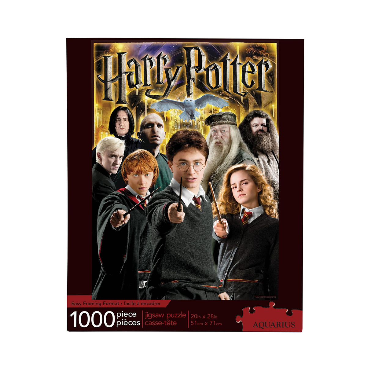 AQUARIUS Harry Potter Puzzle Character Collage (1000 Piece Jigsaw Puzzle) - Officially Licensed Harry Potter Merchandise & Collectibles - Glare Free - Precision Fit - 20x28in AQUARIUS