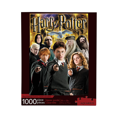 AQUARIUS Harry Potter Puzzle Character Collage (1000 Piece Jigsaw Puzzle) - Officially Licensed Harry Potter Merchandise & Collectibles - Glare Free - Precision Fit - 20x28in AQUARIUS