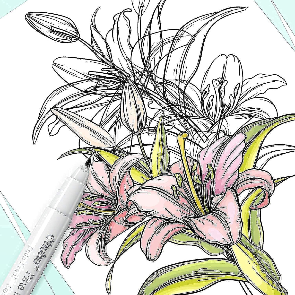 Ohuhu Markers, 48-color Double Tipped Alcohol Markers, Chisel & Fine Alcohol-based Art Marker Set + Fineliner Drawing Pen Set of 8 Pack Ultra Fine Line Drawing Markers Ohuhu