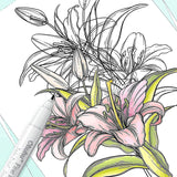 Ohuhu Markers, 48-color Double Tipped Alcohol Markers, Chisel & Fine Alcohol-based Art Marker Set + Fineliner Drawing Pen Set of 8 Pack Ultra Fine Line Drawing Markers Ohuhu