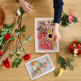 Large Rectangular Resin Molds, Epoxy Resin Casting Deep Silicone Mold, Large Molds for Flower Preservation, Deep Pour Molds for Furniture Decoration, DIY Wedding Bouquets, Valentine's Day Gifts KISREL