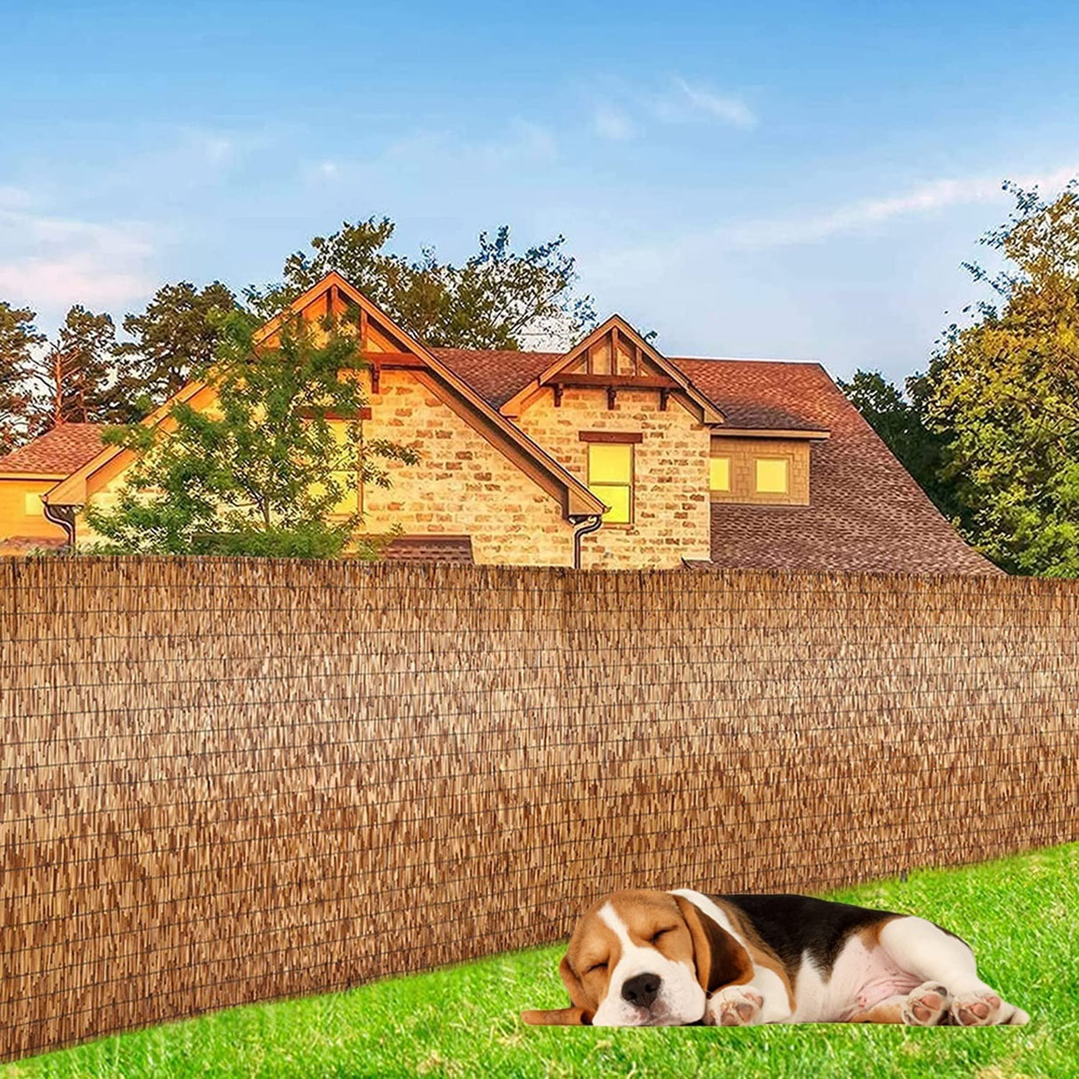 Natural Bamboo Fencing for Garden, Reed Fence,Decorative Rolled Willow Border Screen, Hand-Woven,Sun Shade,Waterproof,for Balcony,Patio,Garden (Size : 90x200CM(35x79in)) Bcofo