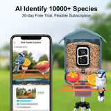 Smart Bird Feeder with Camera, 5 DIY Add-ons & 64G SD Card Auto Record Bird Video Bird House for Outside, AI Identify Bird Species Auto Capture with birdsnap