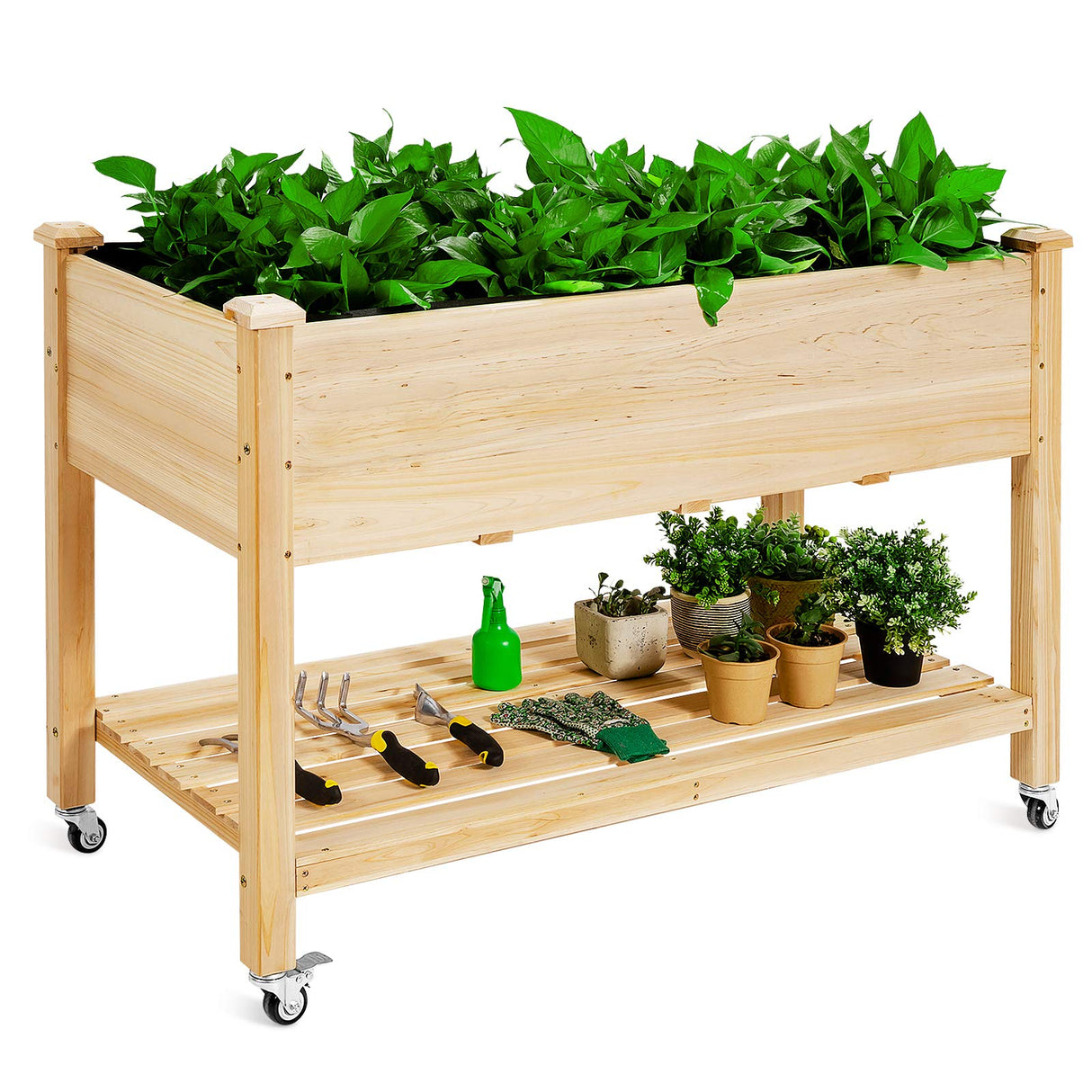 S AFSTAR Raised Garden Bed with Legs, 48x24x33 inch Mobile Elevated Wood Planter Box w/Lockable Wheels, Garden Bed On Wheels for Vegetable Flower Herb Outdoor Indoor S AFSTAR