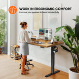 ErGear Whole Piece Standing Desk, 48x24 Inch Thick Adjustable Desk with 4 Height Memory, Electric Sit Stand Desk with Cable Management Tray, Ergonomic Desk for Home Office, Vintage Brown, EGESD73V ErGear