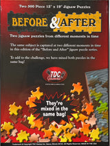 Before & After: Grey Tabby Kitten to King 2-500 Piece Jigsaw Puzzles WoodArtSupply